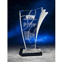 Fanned Dana Award