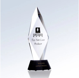 Torch of Liberty Award