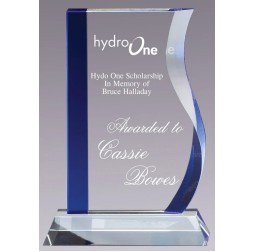 Waved Pinnacle Award