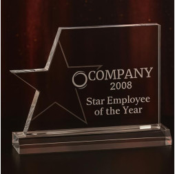 Star Excellence Award, length is 7 1/2", height is 5 7/8"  Star Excellence Award, length is 7 1/2", height is 5 7/8"