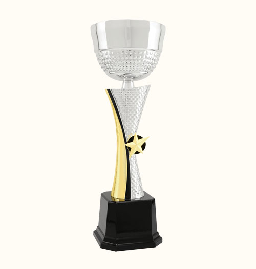 Silver/Gold Textured  Metal Cup Trophy