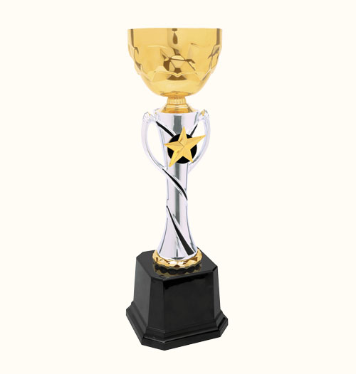 Silver/Gold  Metal Cup Trophy